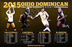 2015 Ohio Dominican University Fall Sports Poster
